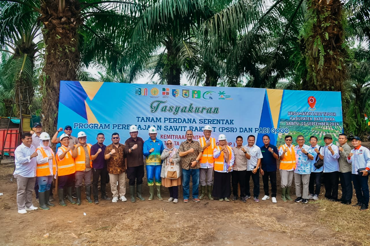 Padi Gogo Merupakan Terobosan Luar Bias